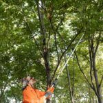 Κλαδευτήρι & Συγκρατητής Σε Κοντάρι 1.5 Μέτρα Kseibi 143015