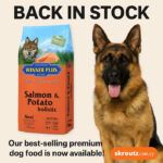 Winner Plus Holistic Salmon & Potato 12Kg – Φυσική Τροφή για Σκύλους με Σολομό & Πατάτα