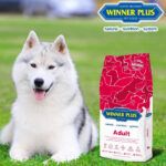 Winner Plus Super Premium Adult 18 Kg - Υψηλής Ποιότητας Τροφή για Ενήλικους Σκύλους | Skroutz Κύπρου | Winner Plus Cyprus