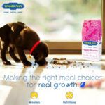 Winner Plus Puppy Starter 18kg Ξηρά Τροφή με Λίγα Σιτηρά για Κουτάβια Μικρόσωμων Φυλών με Κοτόπουλο | Skroutz Κύπρου