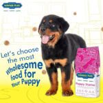 Winner Plus Puppy Starter 18kg Ξηρά Τροφή με Λίγα Σιτηρά για Κουτάβια Μικρόσωμων Φυλών με Κοτόπουλο | Skroutz Κύπρου